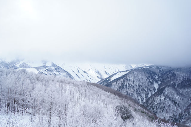 Japan's outdoor sports paradise ❄️ Romantic snow in Hakuba Village