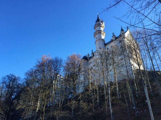 In the fairytale-like Neuschwanstein Castle, admire the fairyland-like snow scenery of the Alps.