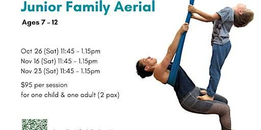 Junior Family Aerial (Age 7-12) | Mindful Space