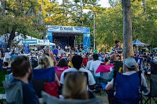 Bluesberry Music & Art Festival | Bogue Falaya Park