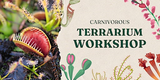 Carnivorous Terrarium Workshop | VI Plant Shop