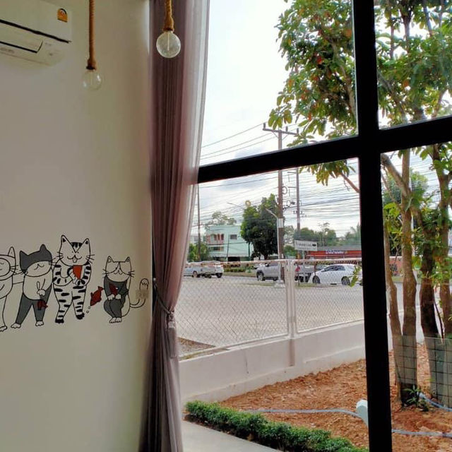 Brew n Taste Coffee คาเฟ่ที่มีรูปแมว @นครศรี