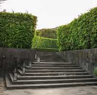 คาเฟ่ริมทะเลสาบ ใกล้ชิดธรรมชาติ | เขาใหญ่