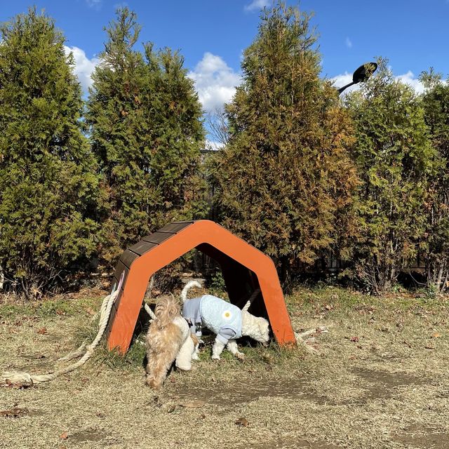 강아지와 함께 쇼핑🐶💘