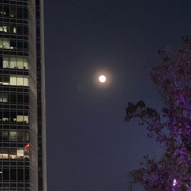 中環的魅力是無法阻擋的.璀璨的夜景
