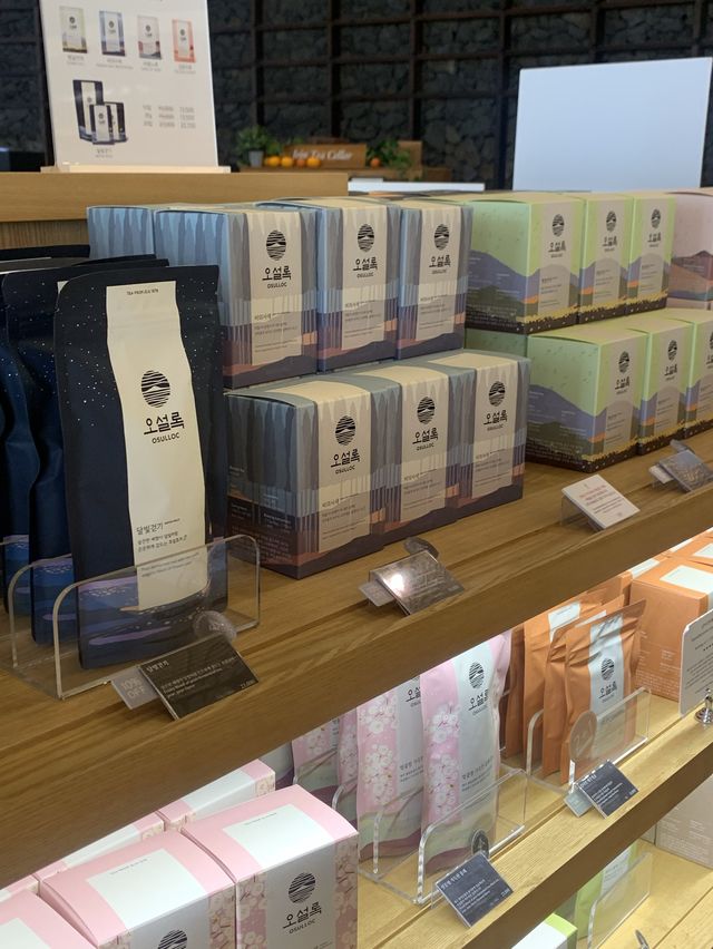 제주 오설록 티 뮤지엄