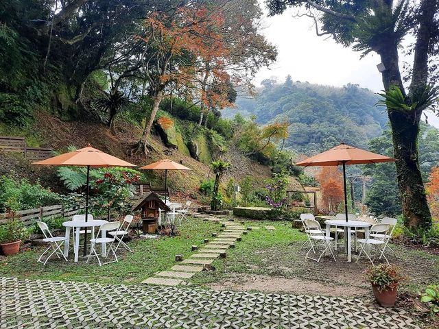 【桃園】景觀餐廳-悠然秘境小屋