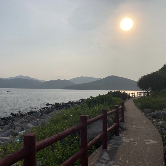 假日小島輕鬆一日遊😎望住大海草地牛牛盡情放鬆