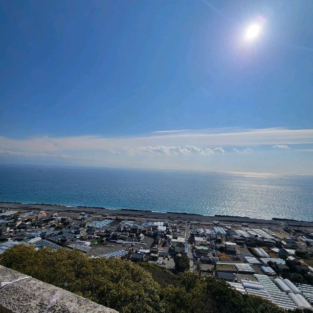 【久能山】ちょっと早い梅の花