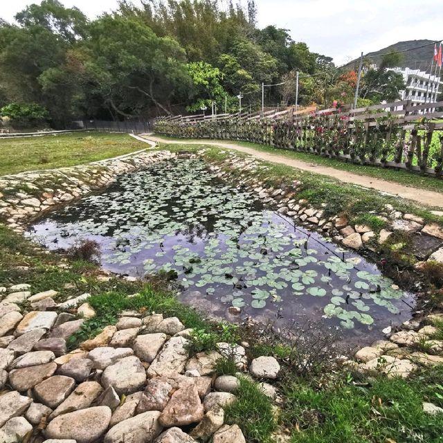 白腊村