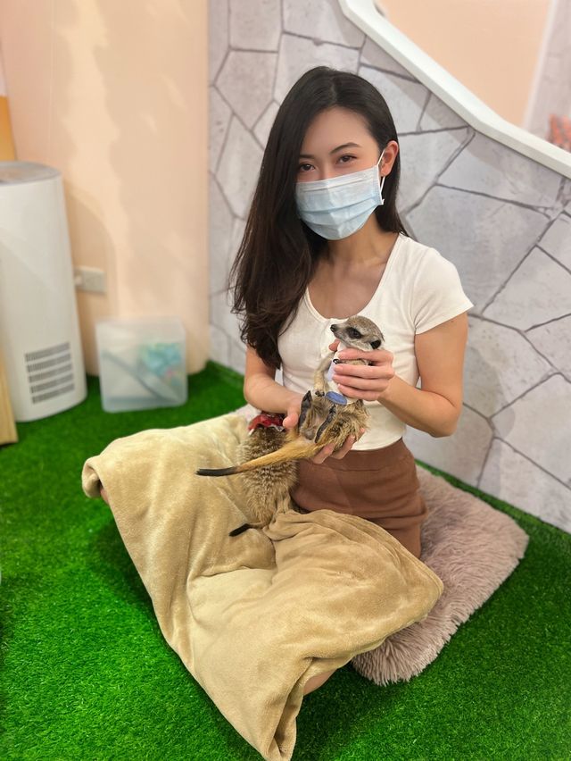 台北松山狐獴餐廳｜Meerkat75 Café - 75度獴 ｜餐點豐富還能和狐獴一起玩