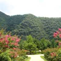 안동 봄여행 병산서원