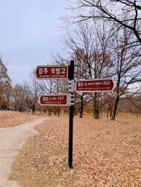 경주의 얼음창고 석빙고 🧊