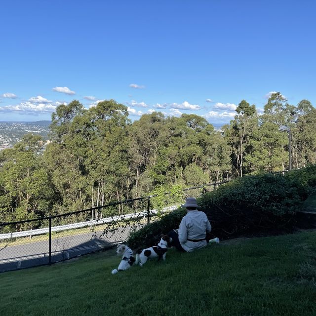 마운틴쿠사전망대 : Mount Coot-Tha Summit Lookout