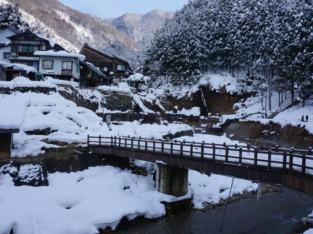 長野縣著名的溫泉泡湯的雪猴🤩🤩