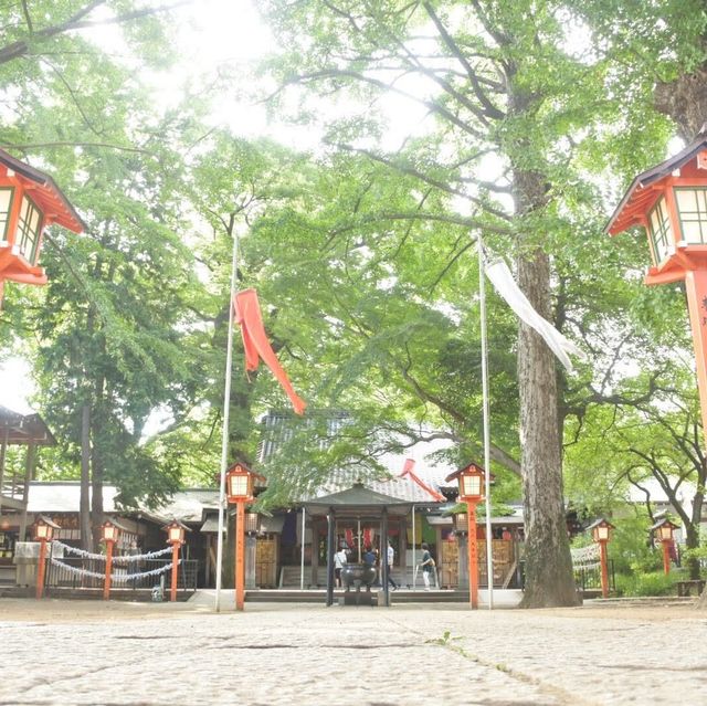 東京の等々力渓谷
