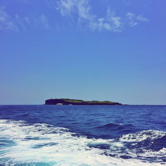 🛥 대한민국 최남단으로 떠나는 바캉스, 마라도