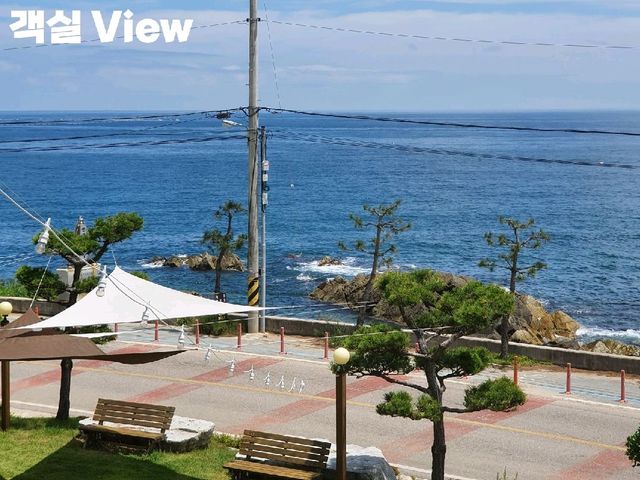[경북/영덕] 오션View 감성 숙소 추천🌊 "더 스트림 펜션"