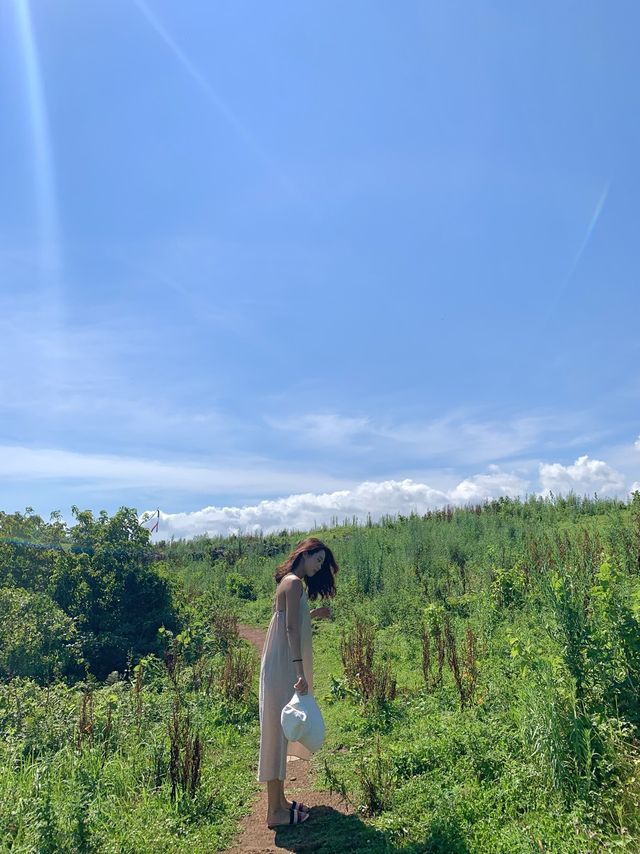 제주 오름 “문도지 오름”