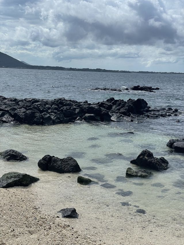 에메랄드빛 바다에서 스노쿨링🌊 우도 ‘서빈백사’