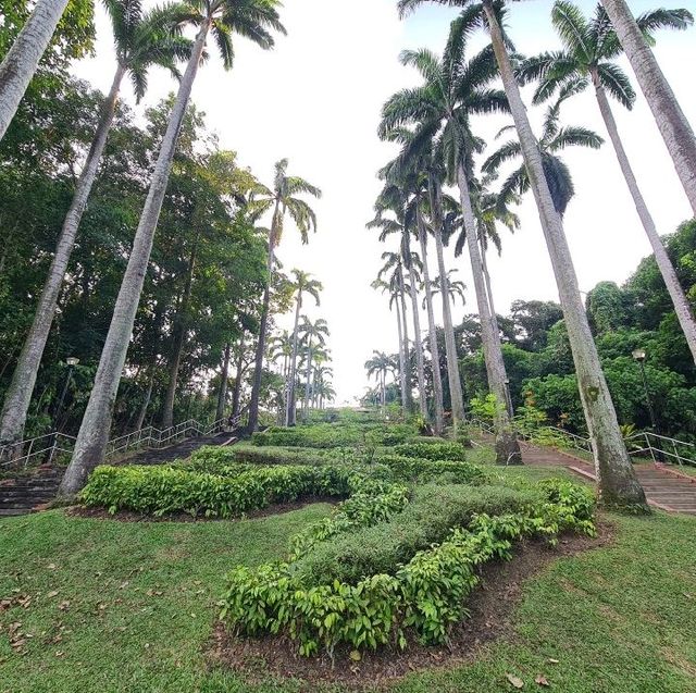 Hike up a hill to a neighbourhood park