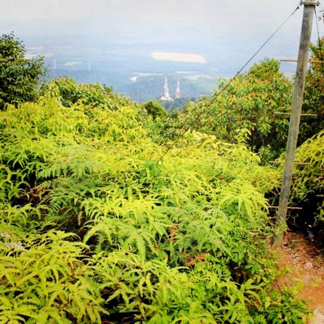 A Hike At Mount Lambak, Kluang