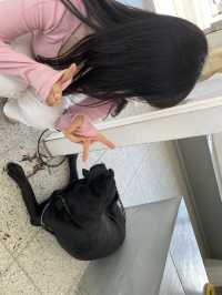 고성 카페 추천 ‘글라스하우스’🤍