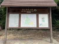 馬騮滿山的金山郊野公園