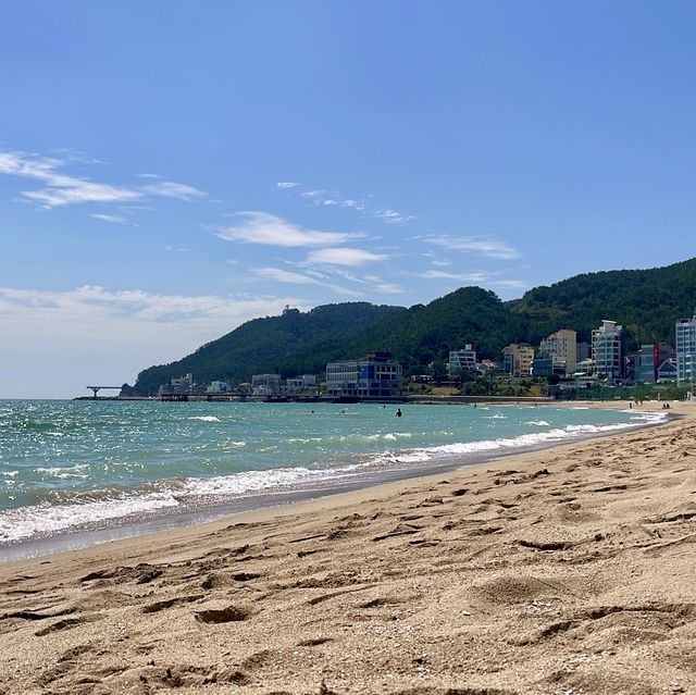 내가 제일 사랑하는 부산 송정해수욕장