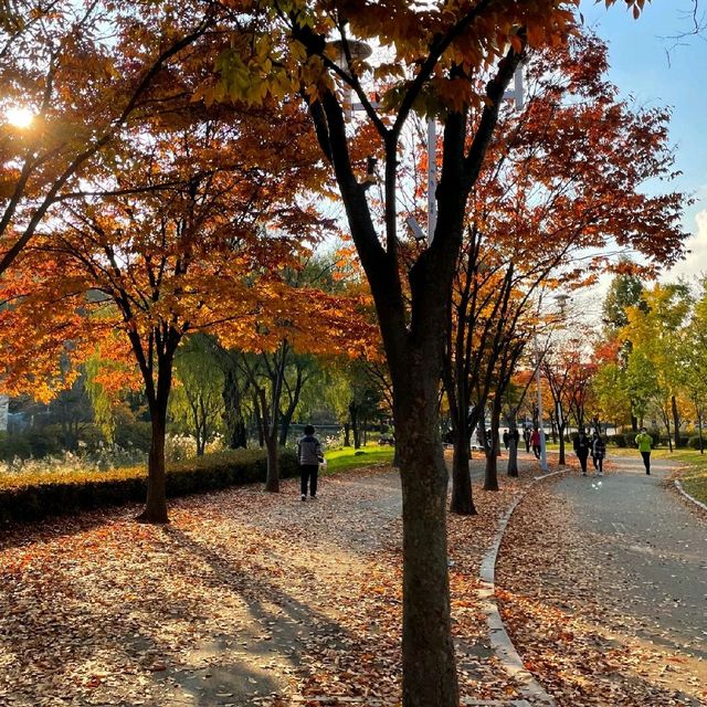 서울근교 단풍구경하기 좋은 곳🤩