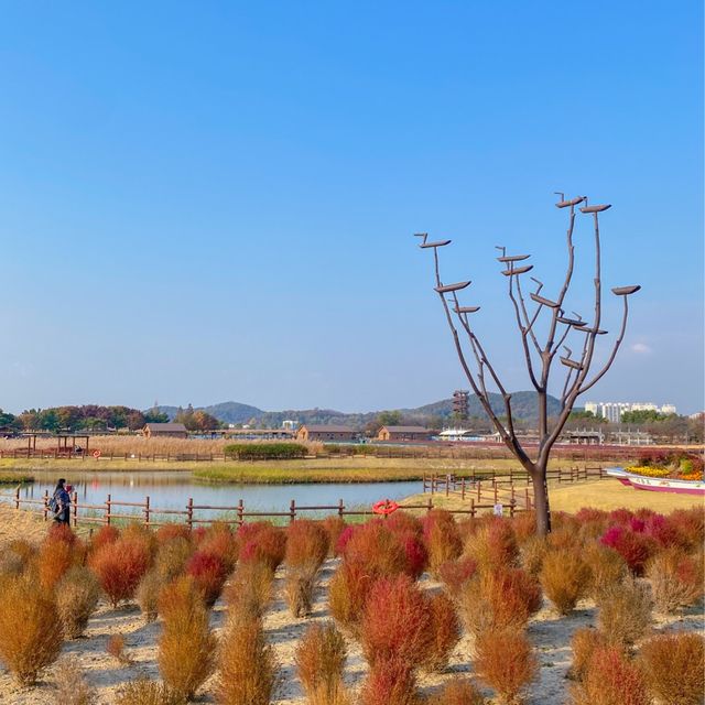 서울 근교 드라이브 코스 🍂시흥 갯골생태공원