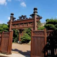 過完馬路 馬上令你 回到大自然  甚至乎好似去咗日本