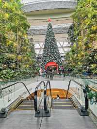 Jewel Changi Airport จุดแวะพักของนักเดินทาง