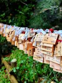 養老の滝