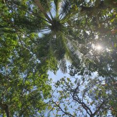 THE GROTTO User Photo