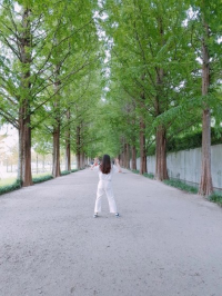 담양 여행 추천!
