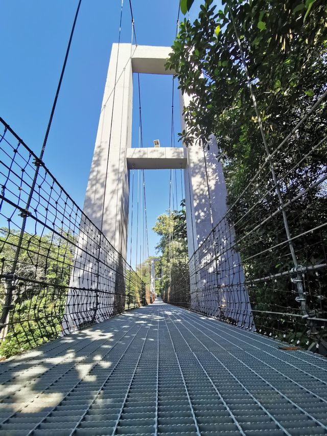 Suspension Bridge, Bukit Gasing 🥰