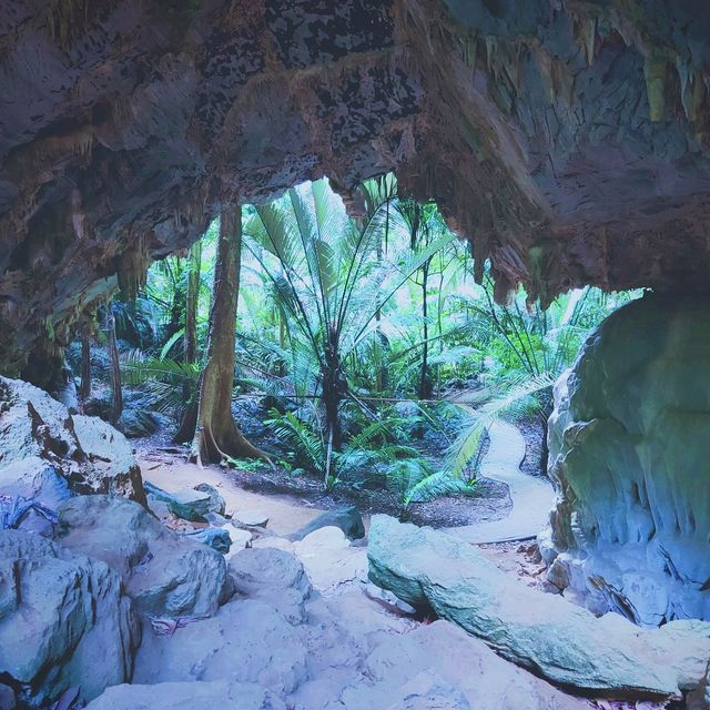 Unseen ❗️หุบป่าตาด ป่าดึกดำบรรพ์ 🦕เมืองอุทัย 🦇