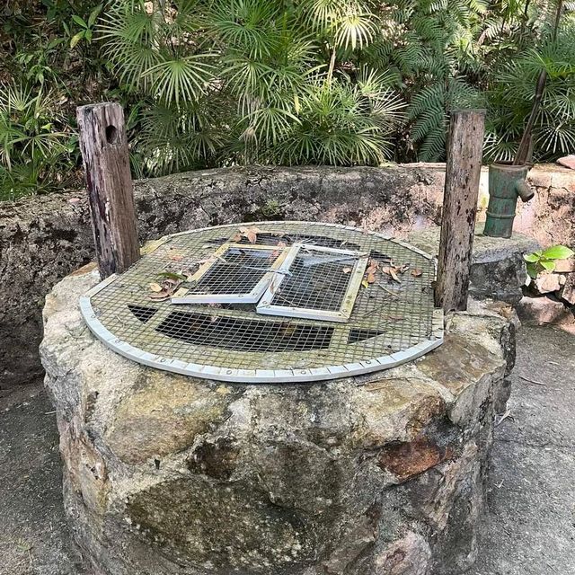 西貢鹽田梓藝術節