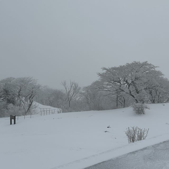 琵琶湖valley 