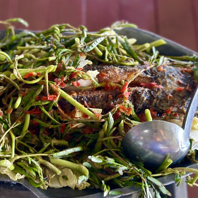 ร้านอาหารครัวนะจ๊ะ บางปู รสชาติดี ราคามิตรภาพ