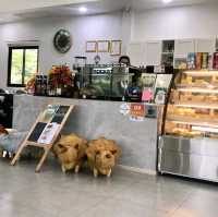 คาเฟ่นั่งชิลล์ มาที่มูคาเฟ่ 