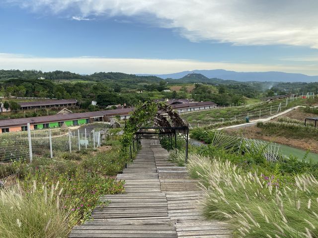 Flower mountain Khaoyai