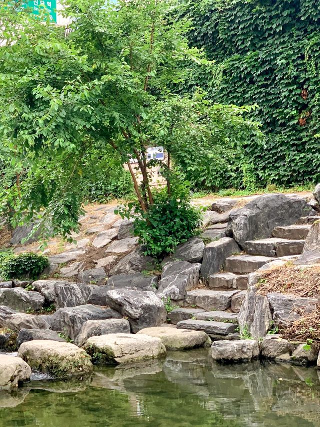 서울 산책하기 좋은 ‘청계천’
