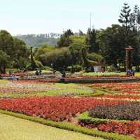 ARCHIPELAGO FLOWER GARDEN, CIANJUR