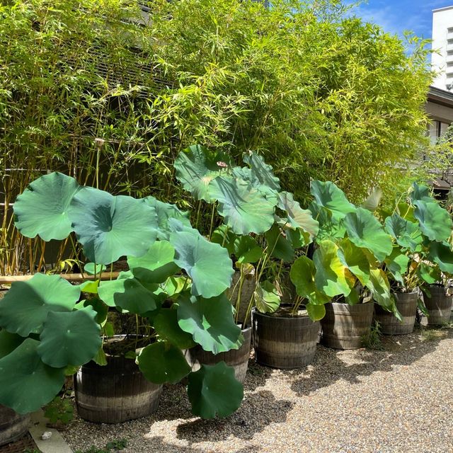 【神戸】生田神社｜ファミリアコラボ お守りがかわいすぎた♡