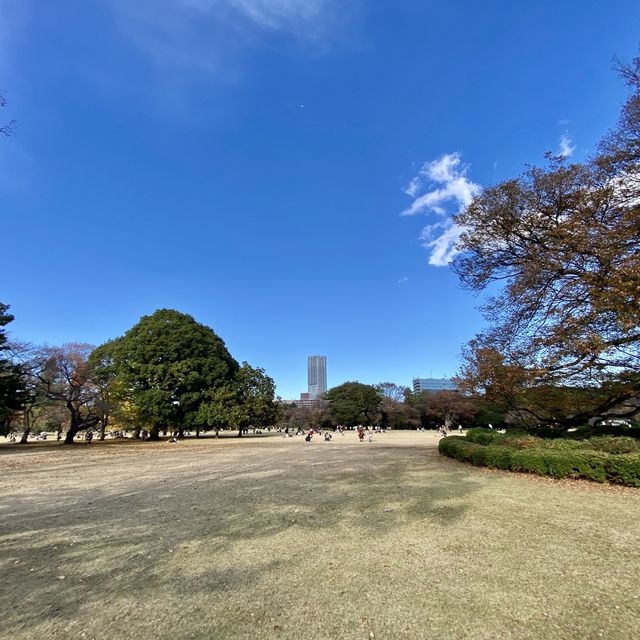新宿御苑の芝生の広場