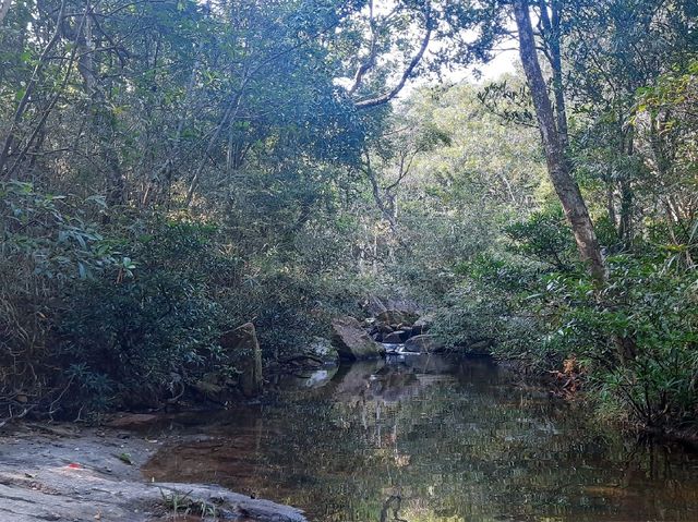 簡單靚景 - 鹿頸至大尾篤