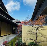 嵐山の紅葉を存分に楽しめた！