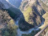 【徳島】徳島でいただく讃岐うどん